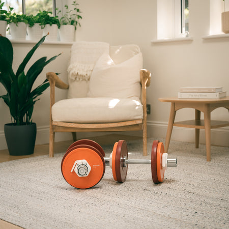 Fittle dumbbells with red and orange weights on a carpeted floor in a home setting with a chair and plants.