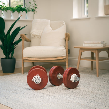 Two red adjustable dumbbells on a light-colored floor with a chair and plants in the background