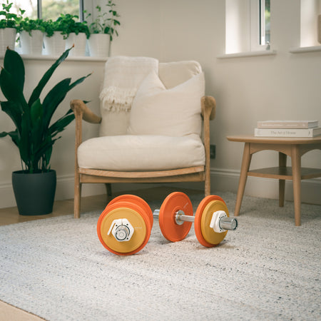 Pair of adjustable Fittle dumbbells on a light-colored rug with a chair and plants in the background.