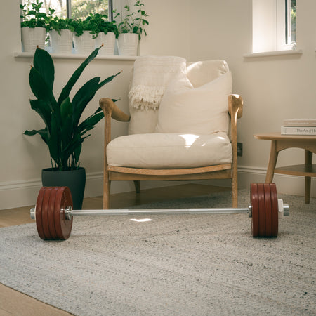 Fittle Barbell with red weight plates on a carpeted floor in a room with a chair and plants.